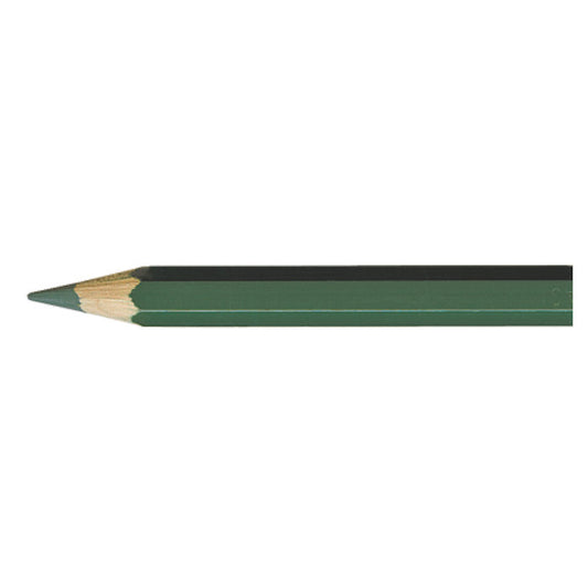 Supracolor DARK GREEN 229 Aquarelpotlood Caran d'Ache