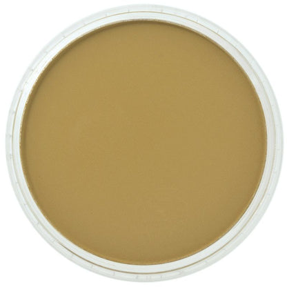 Yellow Ochre Shade 270.3 PanPastel doosje 9ml