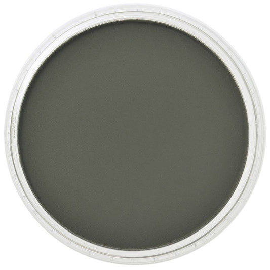 Chromium Oxide Green Extra Dark 660.1 PanPastel doosje 9ml