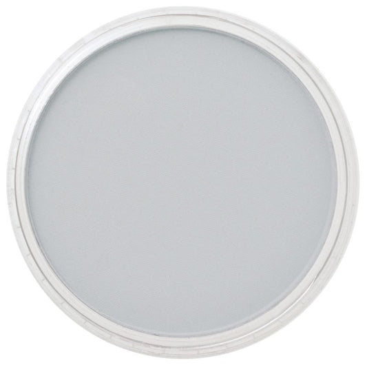 Paynes Grey Tint 1 840.7 PanPastel doosje 9ml