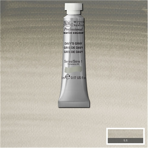 Davy's Grey 5ml  217 S1 Artist's Aquarel Winsor & Newton