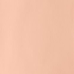 PALE ROSE BLUSH 257 14 ml. S1 Designers Gouache Winsor & Newton