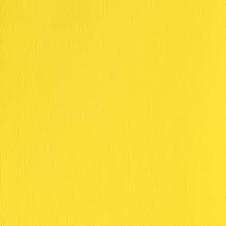 LEMON YELLOW 345 14 ml. S1 Designers Gouache Winsor & Newton